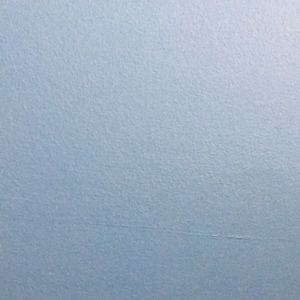 Meet your Posher, Tommy